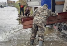 В Волжском запустили в Ахтубу 20 тысяч мальков сазана