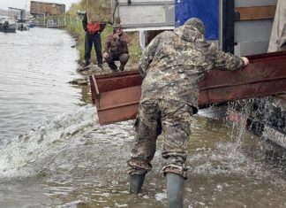 В Волжском запустили в Ахтубу 20 тысяч мальков сазана
