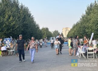 Что посмотреть в Волжском с 14 по 16 августа: афиша мероприятий