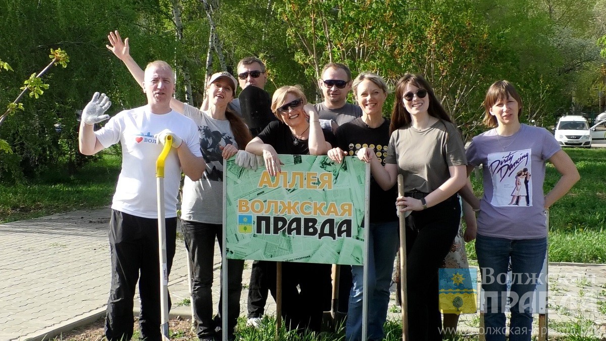 Коллектив «Волжской правды» высадил 18 каштанов в подарок любимому городу |  Новости Волжского - Волжская правда