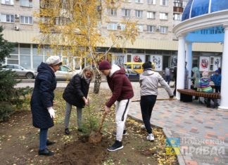 В сквере на площади Труда в Волжском высадили около 90 деревьев и кустарников