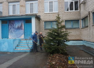 Волжские первостроители одобрили акцию по высадке деревьев
