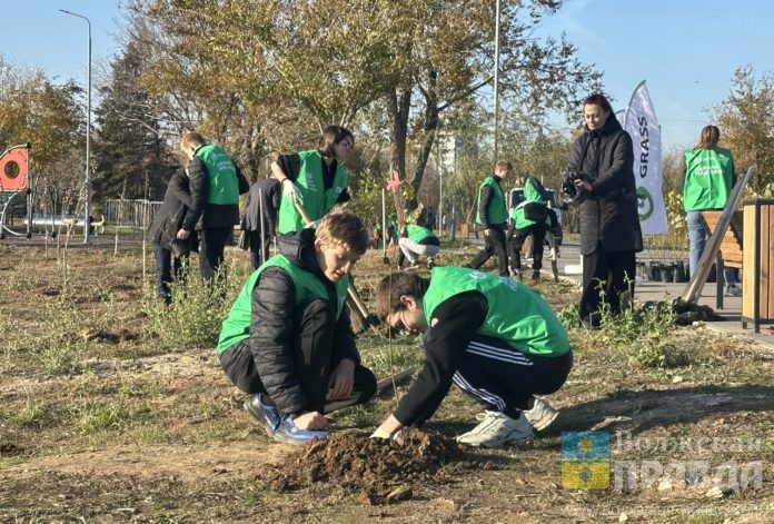 Высадка Субботник Парк В ЕД (4)