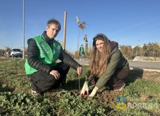 Плюс 100 клёнов: зелёный фонд парка «Волжский» пополнился новыми саженцами