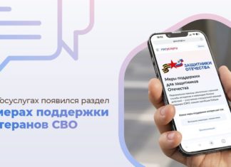На Госуслугах появился раздел о мерах поддержки ветеранов СВО