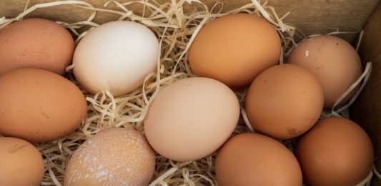 яйца куриные
