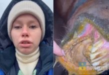 Им залили в рот кислоту: в конном клубе Волжского изощрённым способом отравили 5 лошадей