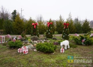В Волжском стартует смотр-конкурс по новогоднему оформлению территорий «Магия праздника»