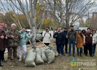 В месячнике по благоустройству в Волжском принимают участие 594 организации
