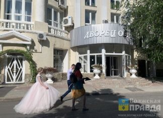 ЗАГС Волжского — лидер: в Волгоградской области зафиксировали свадебный бум