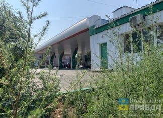 Волжане обратились к руководителям АЗС с просьбой поддержать имидж своей компании