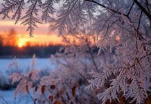 Волжан предупредили о возможных магнитных бурях 9 января