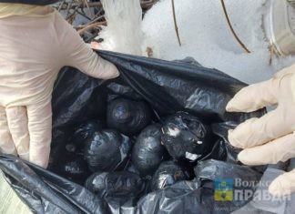 В Волгограде задержали иностранца с пакетами наркотиков