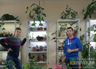 Юные волжские экологи разрабатывают проект ботанического сада
